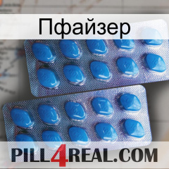 Пфайзер viagra2